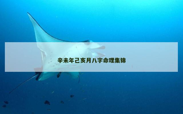 辛未年己亥月八字命理集锦
