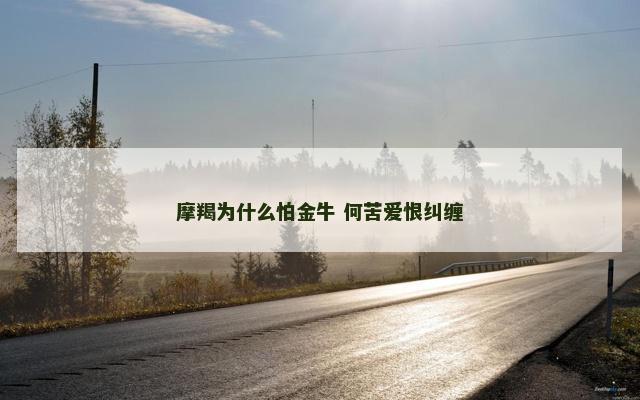 摩羯为什么怕金牛 何苦爱恨纠缠