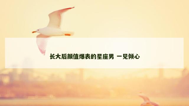 长大后颜值爆表的星座男 一见倾心