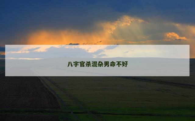 八字官杀混杂男命不好