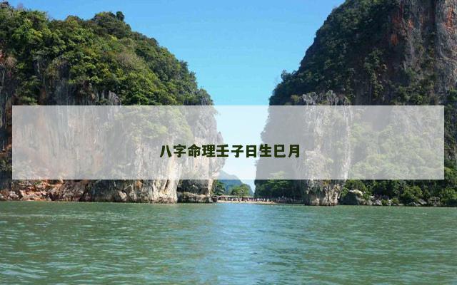 八字命理壬子日生巳月