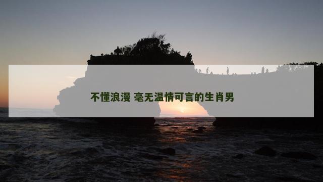 不懂浪漫 毫无温情可言的生肖男