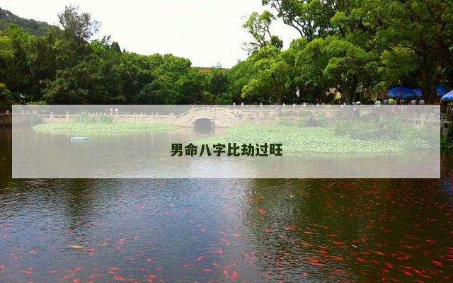男命八字比劫过旺