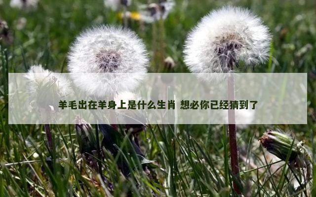 羊毛出在羊身上是什么生肖 想必你已经猜到了
