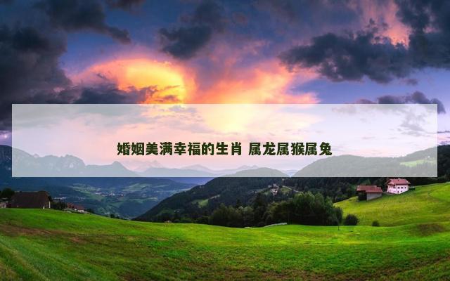 婚姻美满幸福的生肖 属龙属猴属兔