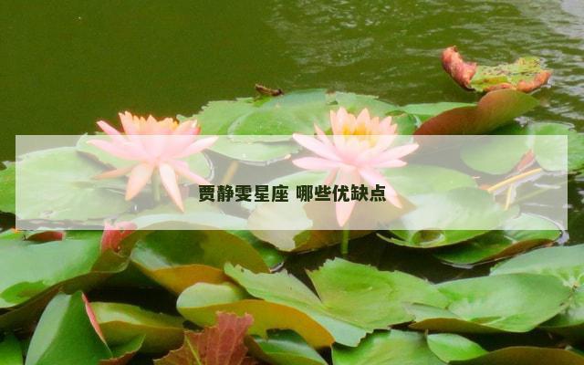 贾静雯星座 哪些优缺点
