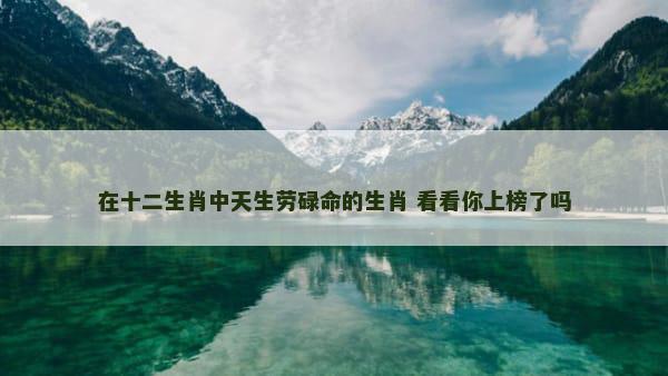 在十二生肖中天生劳碌命的生肖 看看你上榜了吗
