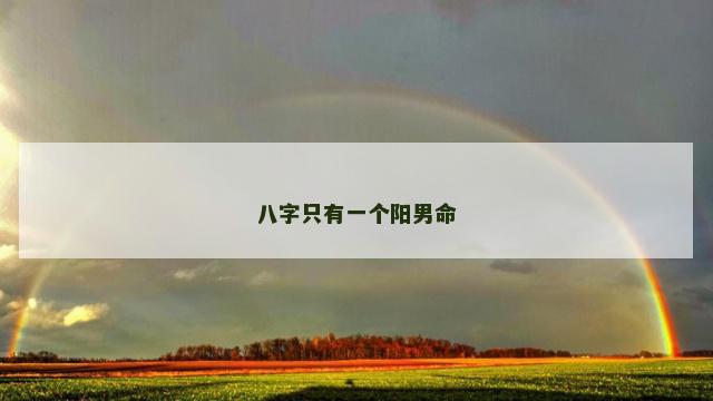 八字只有一个阳男命