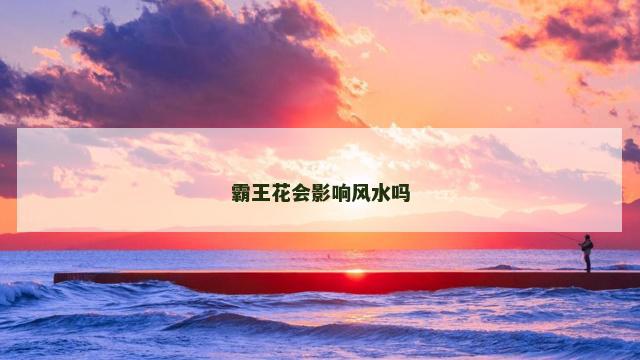 霸王花会影响风水吗