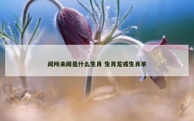 闻所未闻是什么生肖 生肖龙或生肖羊