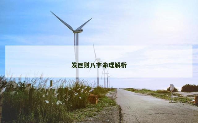 发巨财八字命理解析