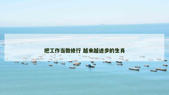 把工作当做修行 越来越进步的生肖