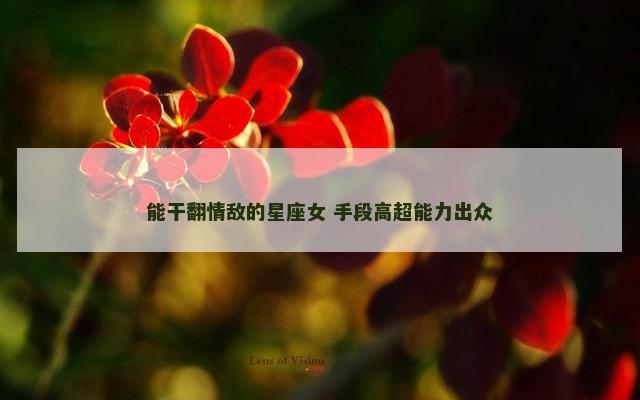 能干翻情敌的星座女 手段高超能力出众