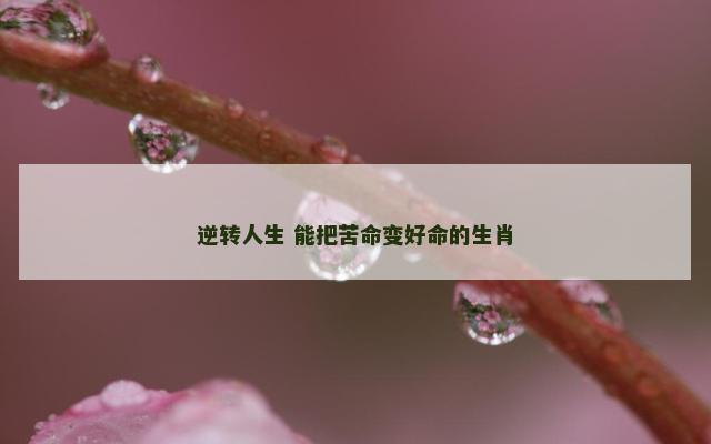 逆转人生 能把苦命变好命的生肖