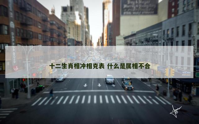 十二生肖相冲相克表 什么是属相不合