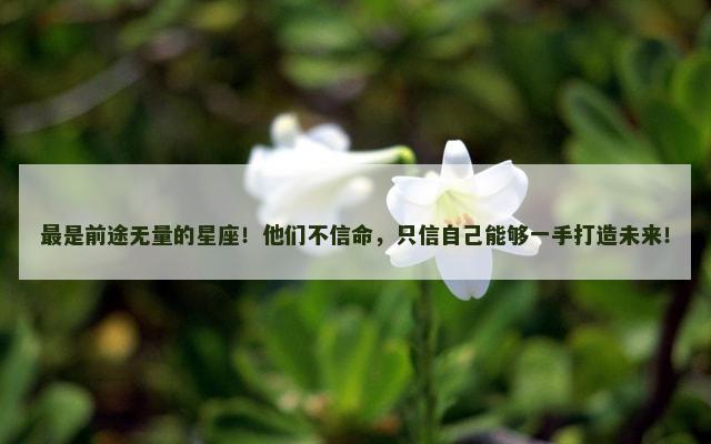 最是前途无量的星座！他们不信命，只信自己能够一手打造未来！