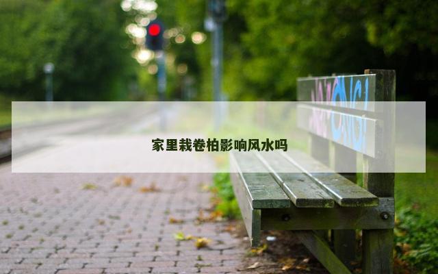 家里栽卷柏影响风水吗