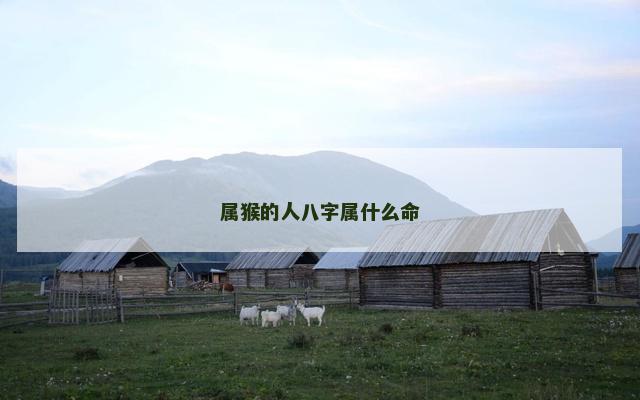 属猴的人八字属什么命