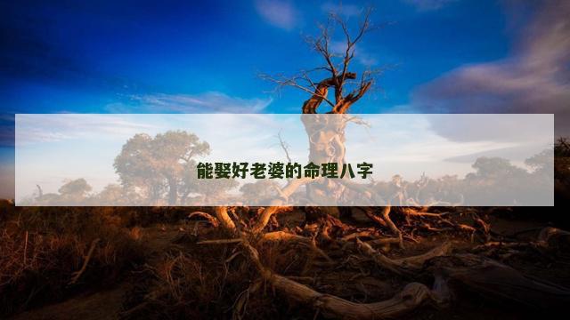 能娶好老婆的命理八字