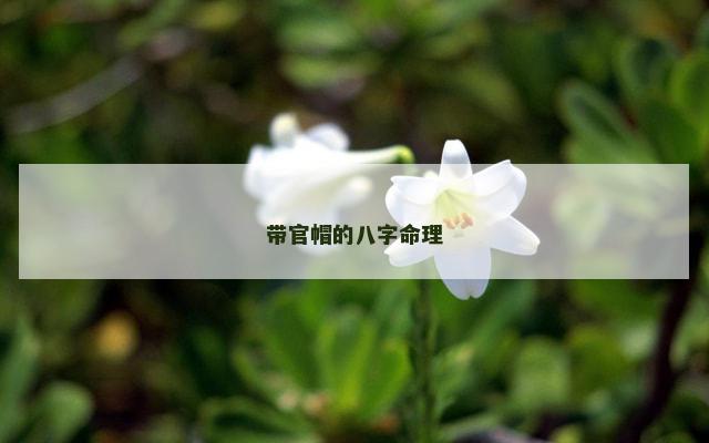 带官帽的八字命理