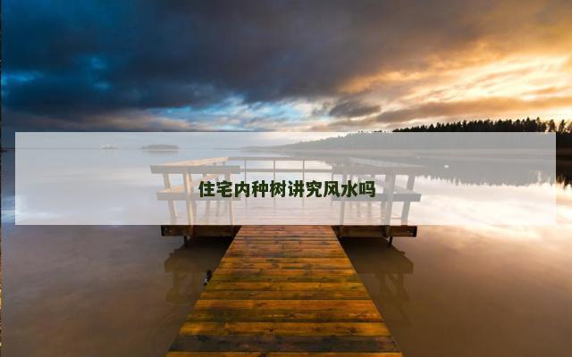 住宅内种树讲究风水吗