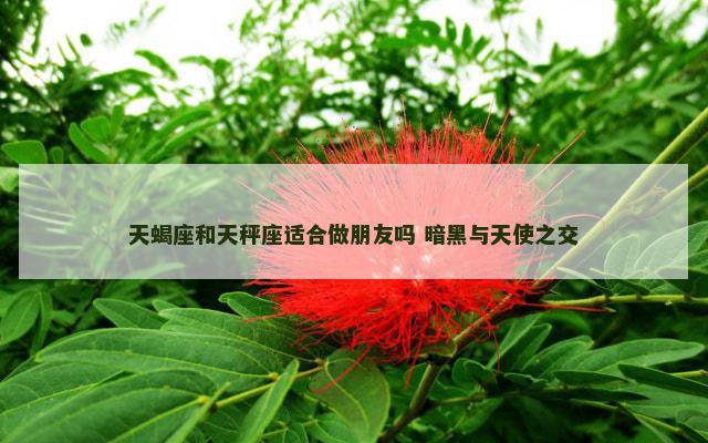 天蝎座和天秤座适合做朋友吗 暗黑与天使之交