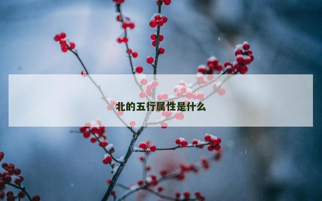 北的五行属性是什么