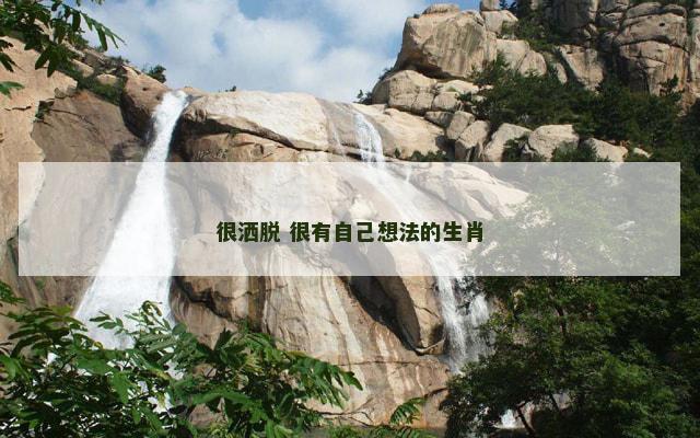 很洒脱 很有自己想法的生肖