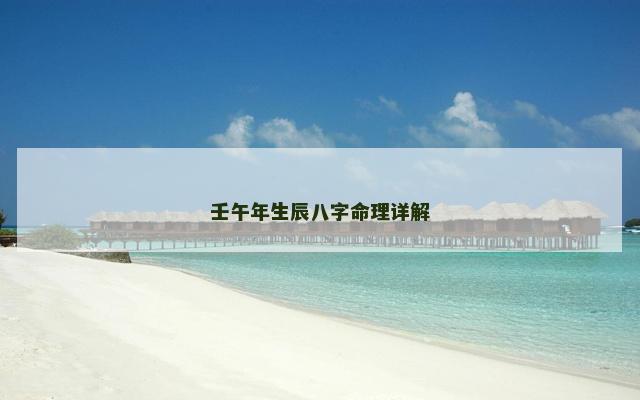 壬午年生辰八字命理详解