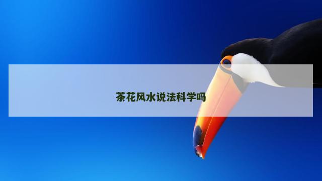 茶花风水说法科学吗