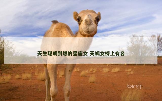 天生聪明到爆的星座女 天蝎女榜上有名