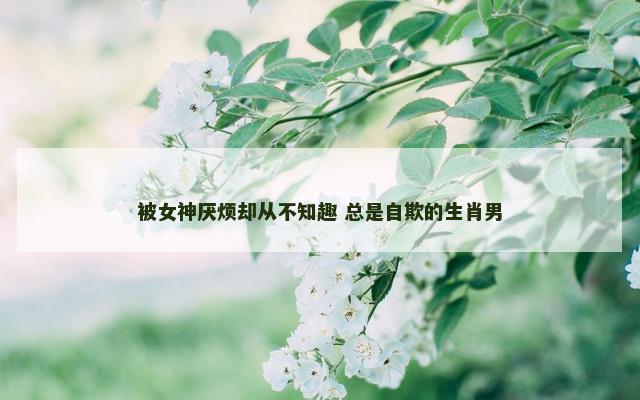 被女神厌烦却从不知趣 总是自欺的生肖男