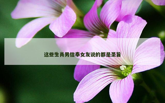 这些生肖男信奉女友说的都是圣旨