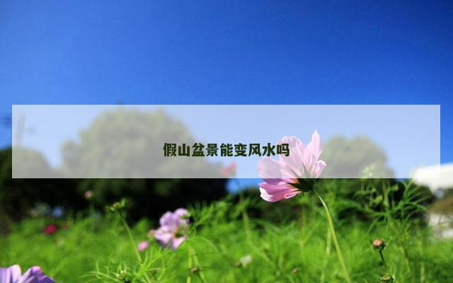 假山盆景能变风水吗