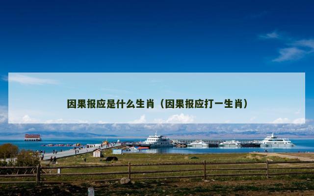 因果报应是什么生肖（因果报应打一生肖）
