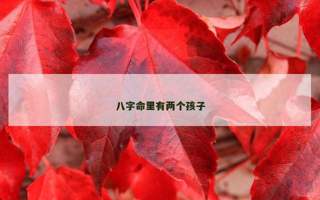 八字命里有两个孩子