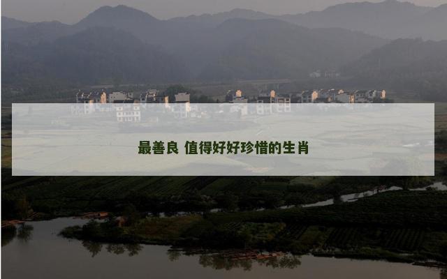 最善良 值得好好珍惜的生肖