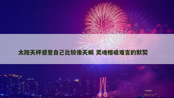 太阳天秤感觉自己比较像天蝎 灵魂相吸难言的默契 　　