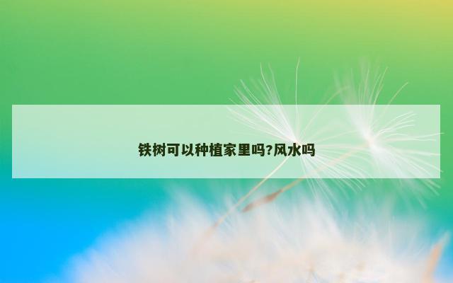 铁树可以种植家里吗?风水吗