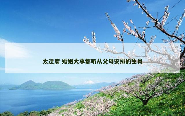太迂腐 婚姻大事都听从父母安排的生肖