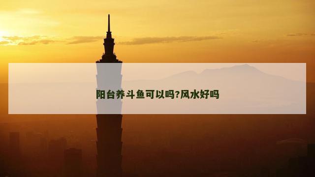 阳台养斗鱼可以吗?风水好吗