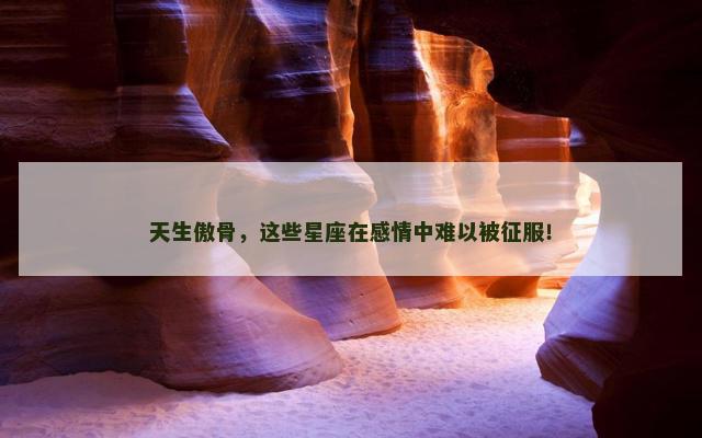 天生傲骨，这些星座在感情中难以被征服！