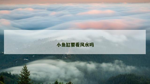 小鱼缸要看风水吗