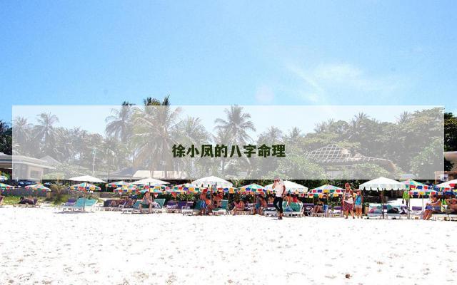 徐小凤的八字命理