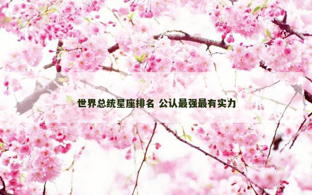 世界总统星座排名 公认最强最有实力