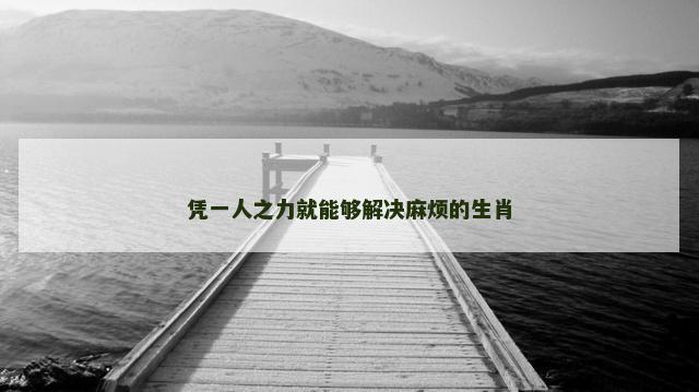 凭一人之力就能够解决麻烦的生肖