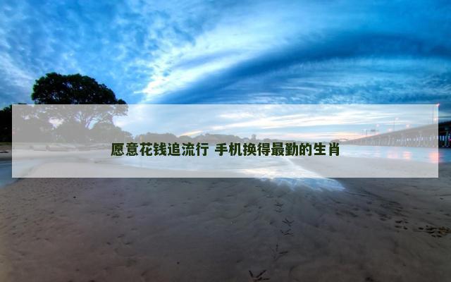 愿意花钱追流行 手机换得最勤的生肖