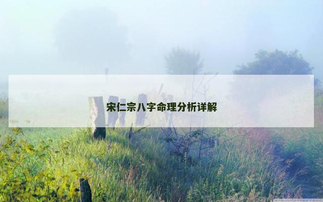 宋仁宗八字命理分析详解