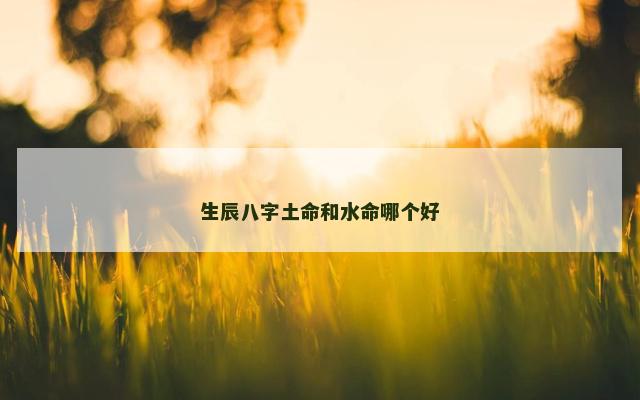 生辰八字土命和水命哪个好