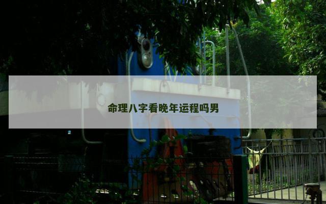 命理八字看晚年运程吗男